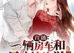 娱乐吃瓜酱抓鸡小说,抓鸡小说中的欢乐与智慧