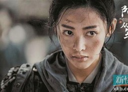 阿麦从军电视剧