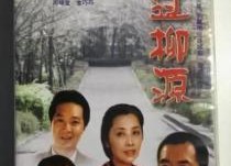 电视剧走过柳源,一段青春与梦想交织的传奇之旅