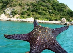 海角吃瓜爆料,揭秘娱乐圈最新爆料背后的真相