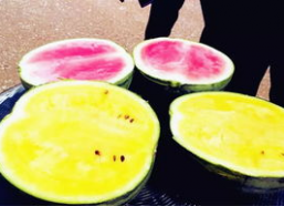 吃瓜爆料山东高密,吃瓜群众揭秘当地热点事件