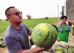 西藏扎西枫丹娱乐吃瓜,吃瓜群众眼中的神秘娱乐王国