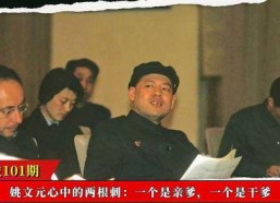 电视剧出人头地大结局,命运转折，逆袭人生